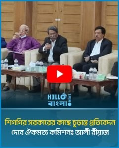 শিগগির সরকারের কাছে চূড়ান্ত প্রতিবেদন দেবে ঐকমত্য কমিশনঃ আলী রীয়াজ