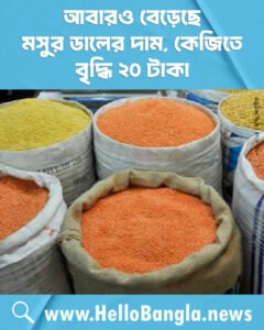 আবারও বেড়েছে মসুর ডালের দাম, কেজিতে বৃদ্ধি ২০ টাকা